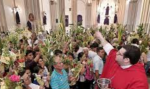 Exhorta Diócesis de Culiacán a vivir en actitud de agradecimiento la Semana Santa
