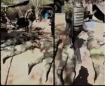 No fue en Sinaloa, el video en el cual se ve que un grupo armado privó de la libertad a militares