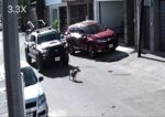 Patrulla de policía municipal atropelló a perrito y lo fractura