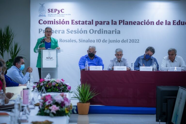 Planeación educativa superior vinculada a los sectores productivos: Rocha