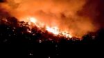 2022 ya suma más incendios forestales que el año pasado: CONAFOR