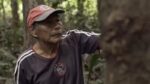 El Paraíso del diablo: las atrocidades del “holocausto del caucho” en la Amazonía de Colombia