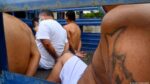 El Salvador: piden libertad de 80 detenidos bajo régimen de excepción