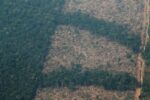La deforestación en la Amazonía se dispara un 80 % en agosto La deforestación en la Amazonía se dispara un 80 % en agosto