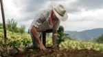 Alejandro Reyes: “En Colombia no hay un problema de tierras, hay 100 problemas de tierras” Alejandro Reyes: “En Colombia no hay un problema de tierras, hay 100 problemas de tierras”