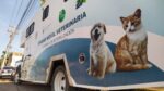 Continúa Gobierno Municipal con campaña de esterilización de perros y gatos
