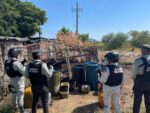 Guardia Nacional localiza presunto centro de almacenamiento ilegal de hidrocarburo en Sinaloa