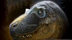 Nueva especie de tiranosaurio podría ser el “eslabón perdido” en la evolución del T. rex
