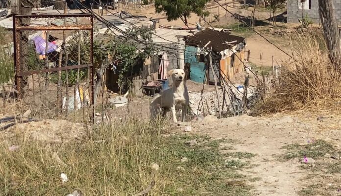 3d25ab37-9268-4f0c-84e3-7df29ecdcbcc