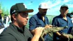 Sinaloa punta de lanza en liberación de especies a sus hábitats Sinaloa punta de lanza en liberación de especies a sus hábitats