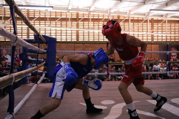 f68d94ee-1fc3-4fa3-bf15-3ecba7d8818d