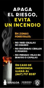 Llaman a evitar incendios forestales