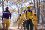 Los incendios forestales siguen dañando el ecosistema. SEBIDES pide extremar cuidados para no ocasionarles