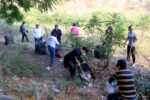 Funcionarios recolectan 3 toneladas de basura, durante jornada de limpieza en el arroyo, “Buñigas”.