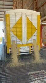 Este lunes inicia SEGALMEX con los registros para pagar el maíz