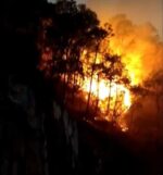 37 incendios forestales en Sinaloa