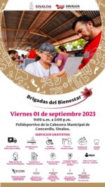 Las Brigadas del Bienestar de DIF Sinaloa llegarán este viernes a Concordia