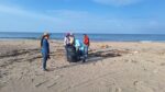 Funcionarios llevan a cabo jornada de limpieza en la playa, Las Cabras.