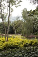 Favorecen áreas verdes el bienestar emocional y la resiliencia