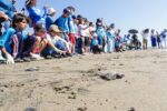 Niñas y niños talentos adoptan un nido de tortuga para evitar la extinción de la especie