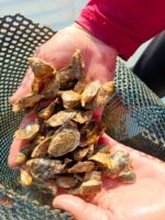 Coepriss levanta la veda temporal en dos cuerpos de agua