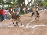 Invita Yebavito, Navolato este sábado a su carrera de burros