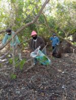 Existe necesidad de promover prácticas sostenibles para preservar nuestro entorno: SUCEDE