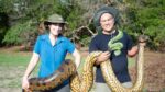 Descubren la nueva especie de serpiente más grande del mundo