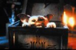 ¡Adiós Gizmo! Murió Mark Dodson, actor que dio voz a los ‘Gremlins’