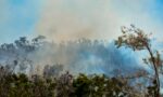 ¡Sin descanso! Incendios forestales persisten en México ¡Sin descanso! Incendios forestales persisten en México
