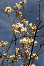 Disfruta en Jardín Botánico el despertar de la naturaleza, la estación más colorida del año