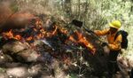 Conafor reporta 93 incendios forestales activos en México