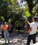 Mayo de meditación guiada, orquideario y recorridos nocturnos en Jardín Botánico Culiacán Mayo de meditación guiada, orquideario y recorridos nocturnos en Jardín Botánico Culiacán