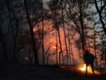 Del total de incendios en el estado, sólo dos permanecen activos y uno controlado