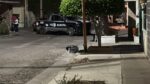 Encuentran urna electoral en una calle de Barrancos
