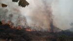 Sebides felicita a combatientes de incendios forestales en su día y reporta 18 siniestros liquidados