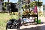 Reutilizar y reciclar productos puede mantener en equilibrio al medio ambiente Reutilizar y reciclar productos puede mantener en equilibrio al medio ambiente