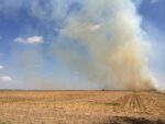 Refuerza Agricultura acciones contra incendios forestales y erosión de suelos por quemas agropecuarias
