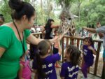 En puerta cursos de verano en el Zoológico de Culiacán: Descubre la fauna y fortalece la cultura de la vida animal