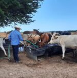 UGRS Convoca a ganaderos a utilizar únicamente rastros certificados para el sacrificio