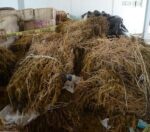 FGR destruye más de siete toneladas de narcóticos