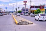 Rehabilitan guarniciones del camellón central en Avenida Santa Rosa.