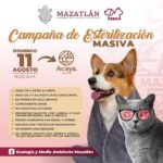 Ecología realizará Jornada de Esterilización Masiva de perros y gatos el próximo domingo en plaza Acaya