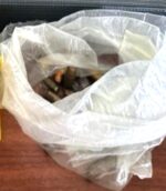 FGR obtiene vinculación a proceso de una persona detenida en un cateo en el que aseguraron droga, armas de fuego, guacamayas y venados