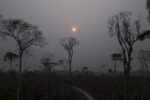 Los incendios forestales en Brasil provocan mayor nivel de emisiones de carbono en dos décadas