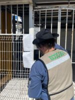 Atiende Ecología en la presente administración mas de 13 mil denuncias Atiende Ecología en la presente administración mas de 13 mil denuncias