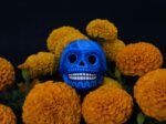 Elementos “típicos” en tradición del Día de Muertos provienen de raíces mesoamericanas