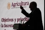 En México no se va a cultivar maíz transgénico de ningún tipo y no va a faltar maíz blanco: Julio Berdegué