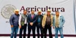 La última semana de febrero inicia el pago a productores trigueros de Sinaloa por parte de SADER, anuncia Bello Esquivel