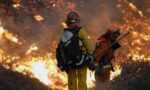 SRE atiende a connacionales ante incendios en Los Ángeles